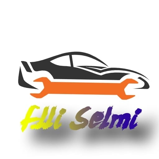 Flli Selmi Competition Service
